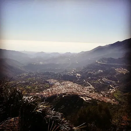 Maya * Marbella